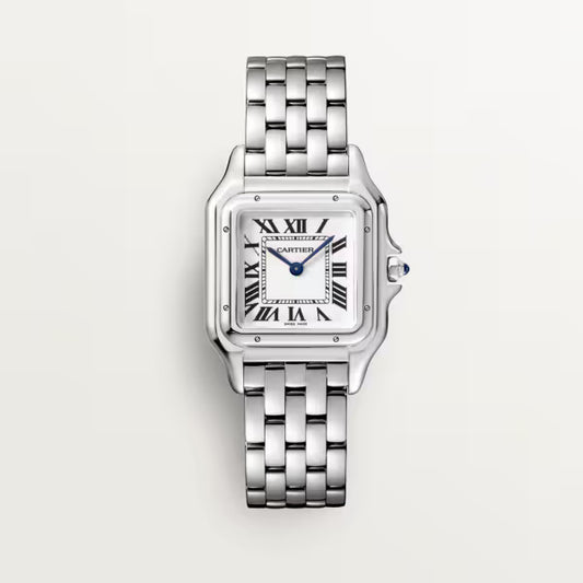 Cartier de Panthère medium Steel 2024